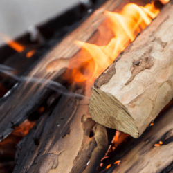 S3EP8 | MEŽA INVENTARIZĀCIJA?