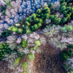 S2EP6 | JAUNAS MEŽAUDZES KOPŠANA