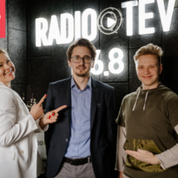 2. Erlands Krongorns