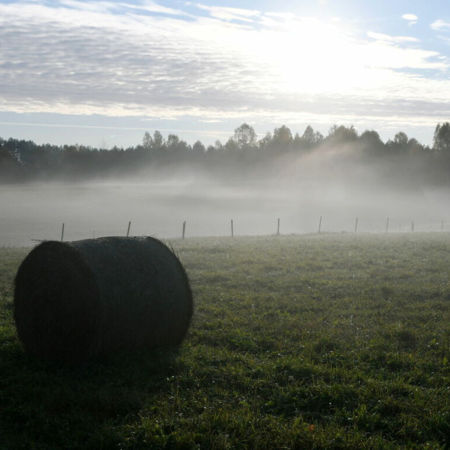 <p>Nedēļas vidū gaidāma meteoroloģiskā rudens sāk&scaron;anās</p>