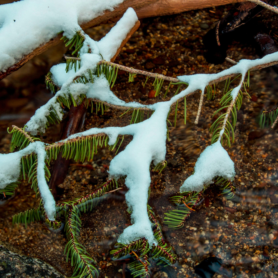 <p>Decembris prognozēts viens no siltākajiem novērojumu vēsturē</p>