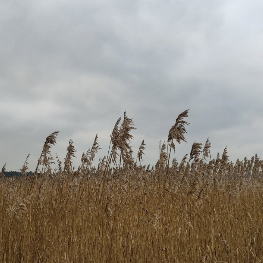 <p>Visā Latvijā saglabājas apmācies laiks</p>