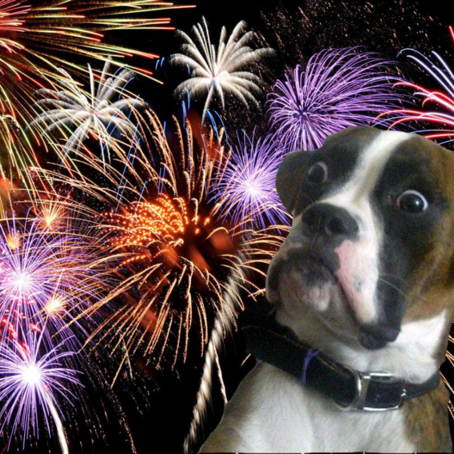 <p>Rīgā aizliedz naktīs lietot pirotehniku</p>