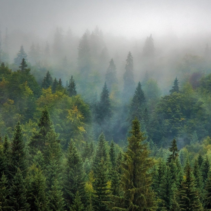 <p>Pasaules klimata konference nav devusi gaidīto tālākās rīcības plānu</p>
<p>&nbsp;</p>