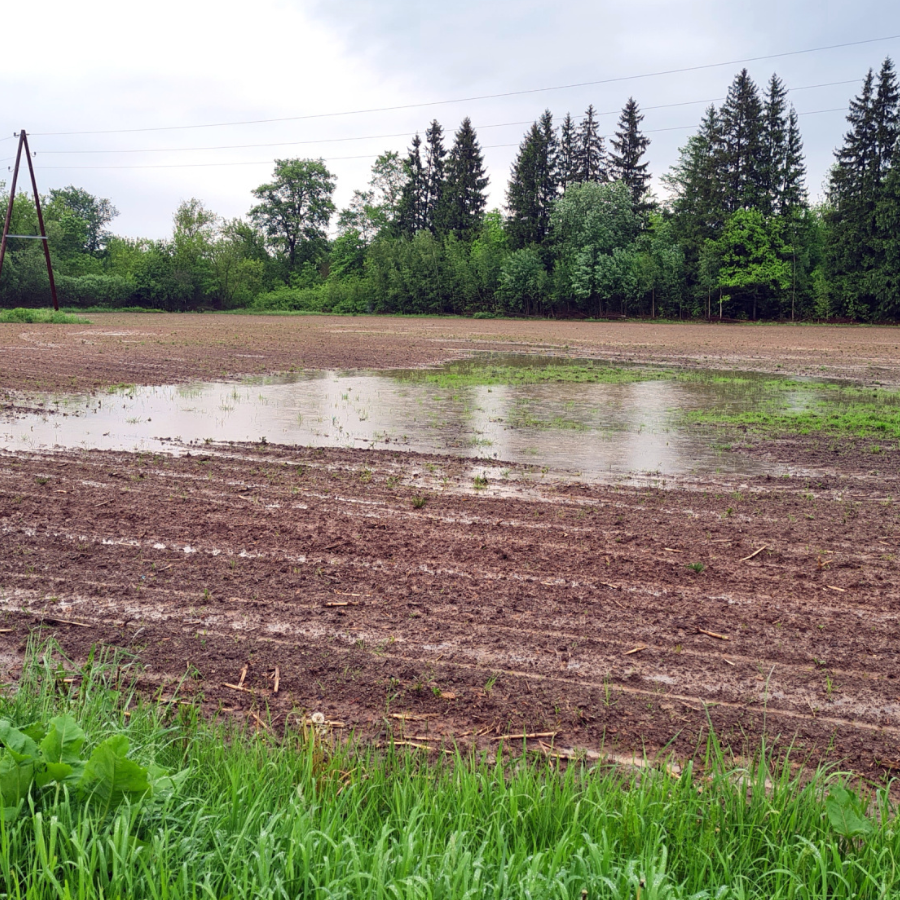 <p>Lauksaimniekiem &scaron;ogad provizoriski radīti zaudējumi 111 miljonu eiro apmērā</p>