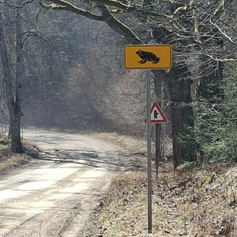 <p>Informatīvas zīmes brīdinās, ka ceļ&scaron; &scaron;ķērso krupju migrācijas vietu</p>