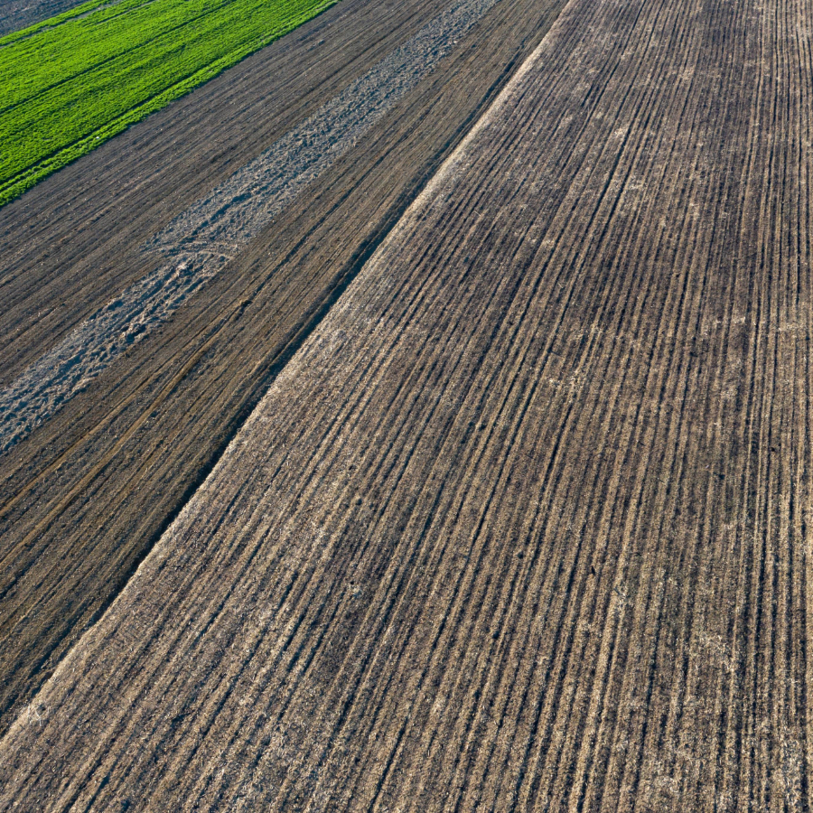 <p>Lauksaimnieki: Līdz aprīļa beigām lielākā daļa vasarāju būs sasēti</p>