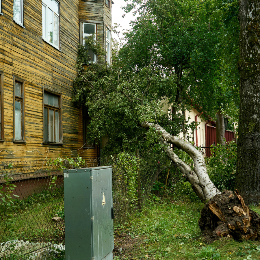 <p>Bez elektrības Latvijā joprojām aptuveni 31 000 klientu</p>