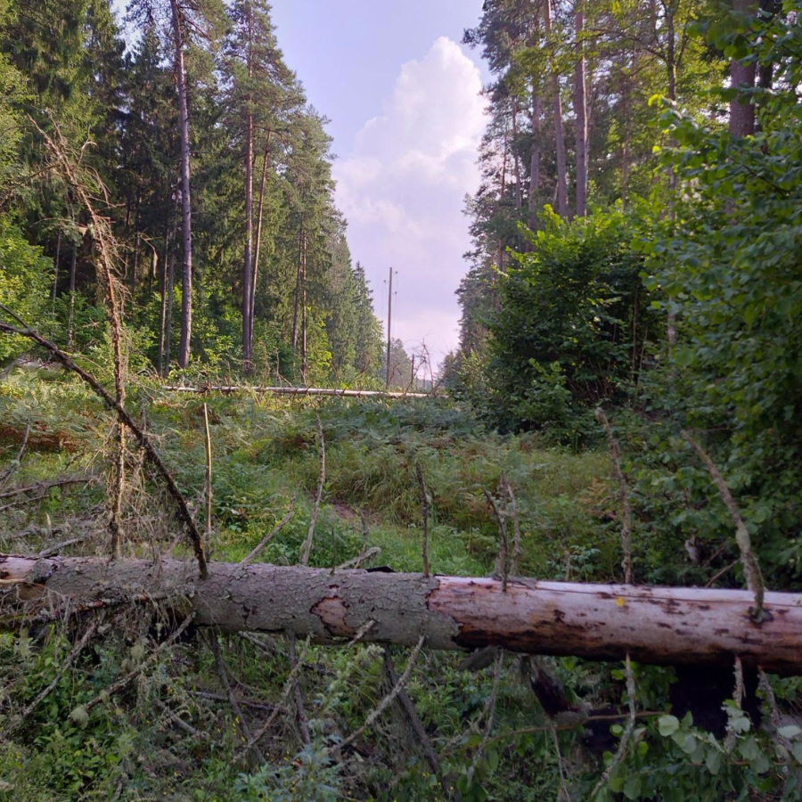 <p>Trīs dienas pēc vētras bez elektrības Latvijā vēl aptuveni 11 000 klientu</p>