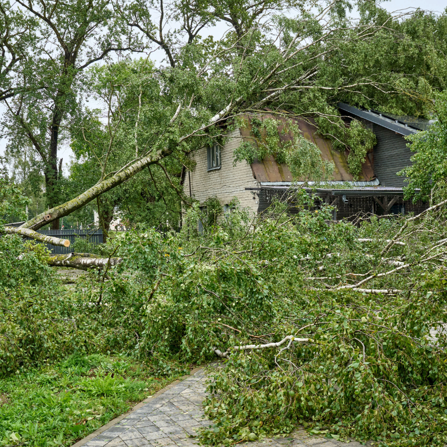 <p>Apdro&scaron;inātājs: Vētras nodarītie zaudējumi klientiem Latvijā varētu sasniegt trīs miljonus eiro</p>