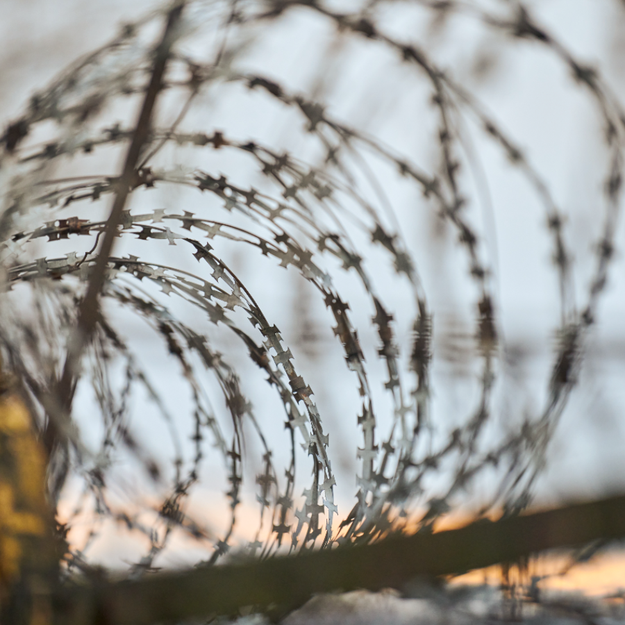 <p>Latvijā pie Latvijas-Baltkrievijas robežas atrasts migrantu rakts tunelis</p>