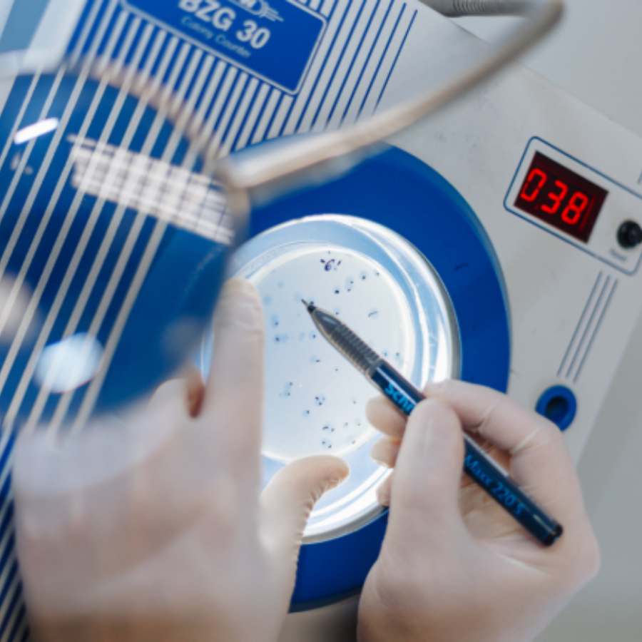 <p>RSU iesaistīsies 15 miljonu eiro projektā bakteriofāgu terapijas izpētei</p>
