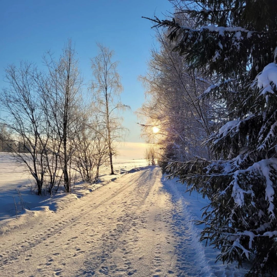 <p>Rucavā pārspēts mēne&scaron;a otrās dekādes aukstuma rekords</p>