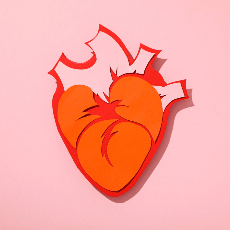 <p>Anatomijas muzejs aicina iepazīt mīlestības anatomiju</p>