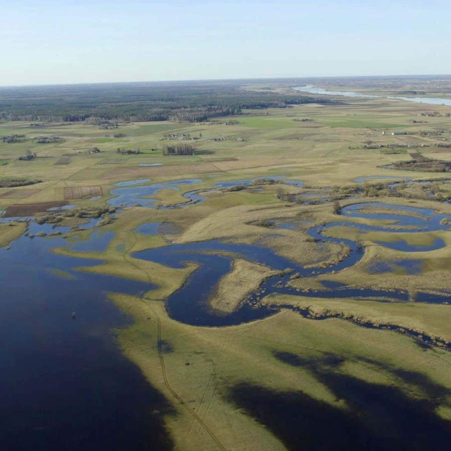 <p>Top mūsdienu Sēlijas kultūras kanons</p>