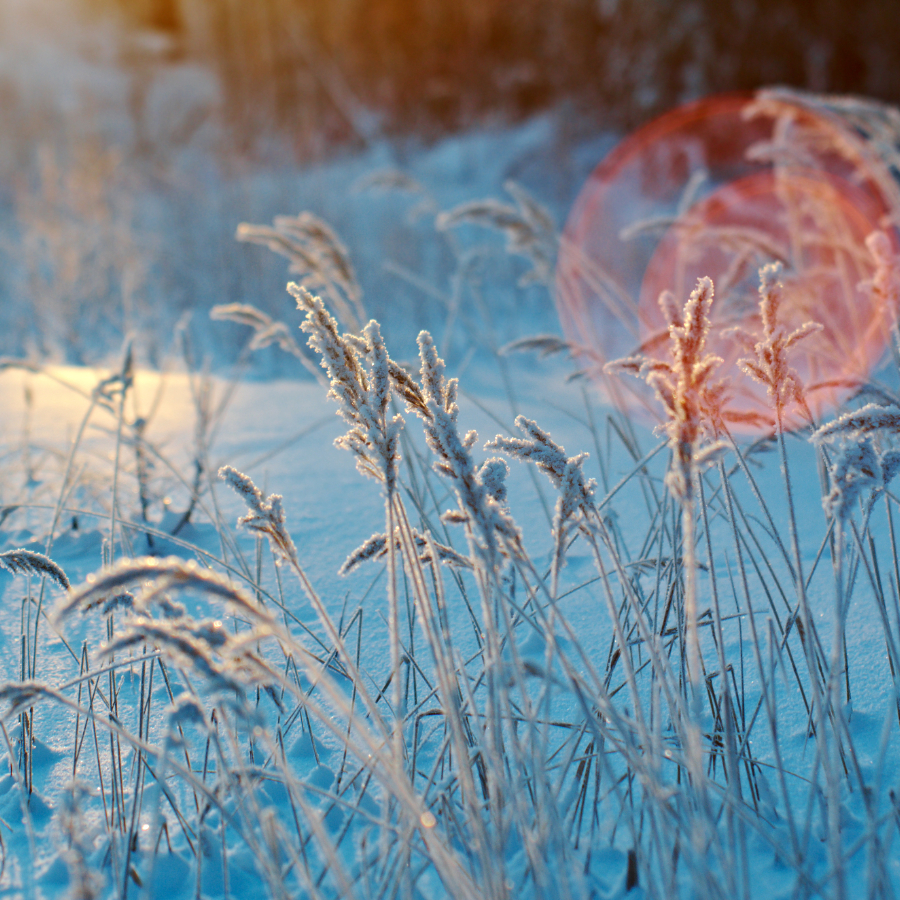 <p>Dažviet Kurzemē gaisa temperatūra noslīdēja līdz -19 grādiem</p>