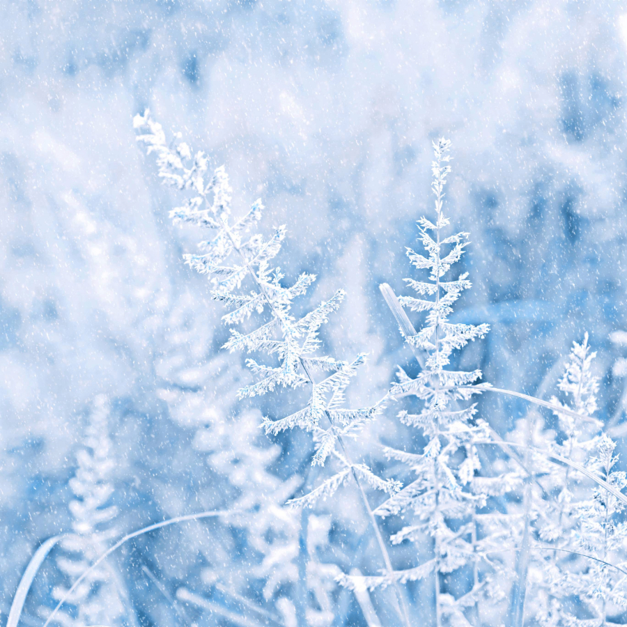 <p>Nedēļas izskaņā var atnākt &scaron;īs ziemas bargākais sals</p>