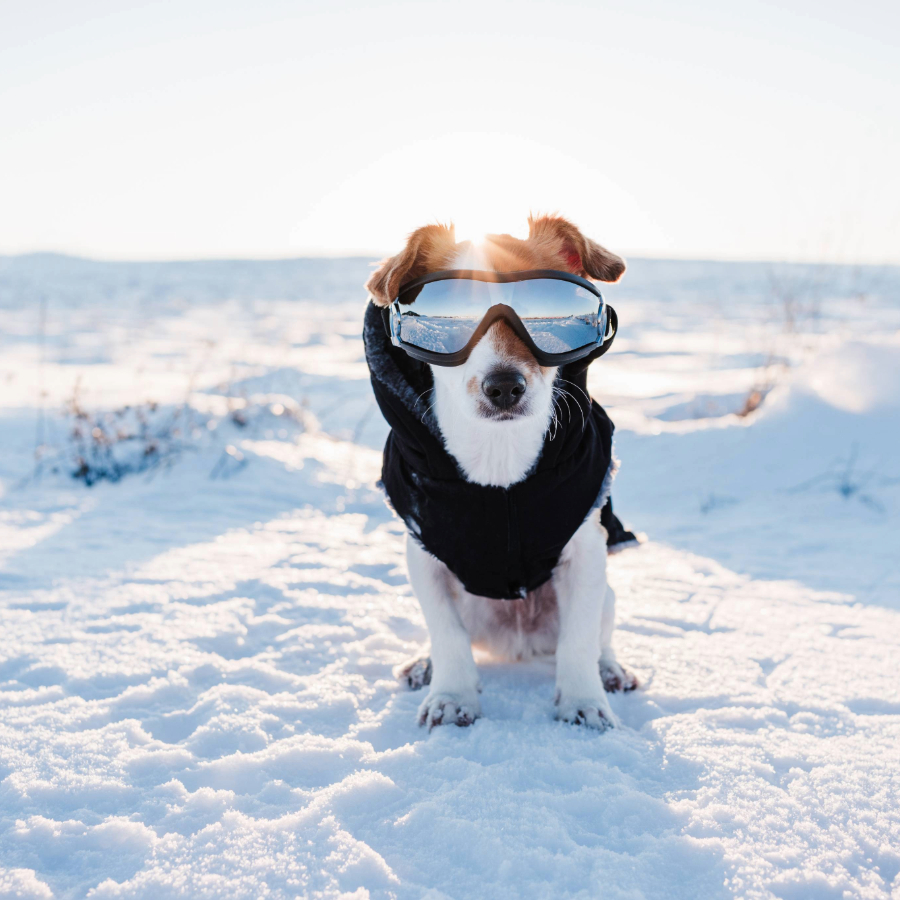 <p>Arī februāri Latvijā prognozē aukstu</p>