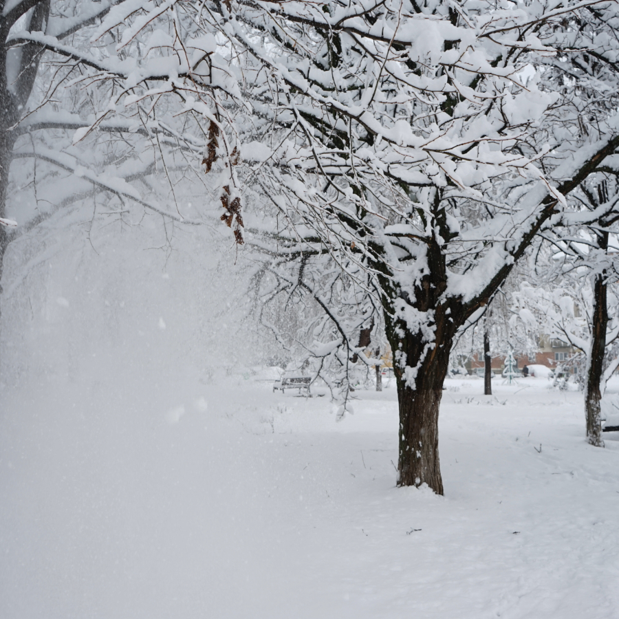 <p>Nedēļas nogalē snigs, nākamnedēļ var pastiprināties sals</p>