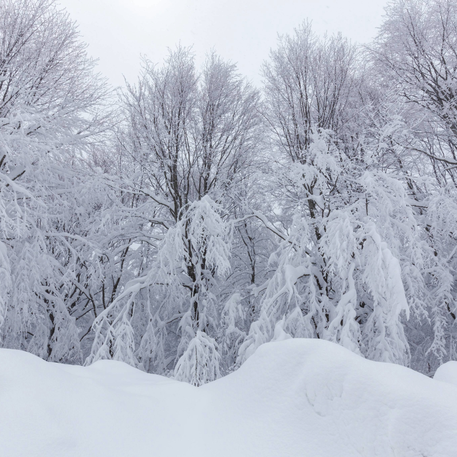 <p>Sniega dziļums Dagdā sasniedzis 40 centimetru</p>