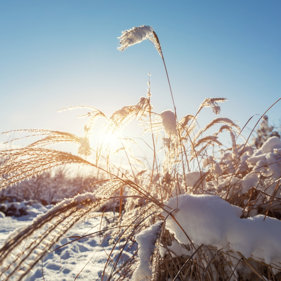 <p>Kop&scaron; ziemas saulgriežiem dienas garums pieaudzis par stundu</p>