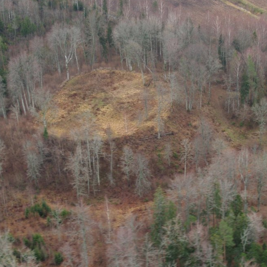 <p>Izvēlēts Latvijas 2026. gada arheoloģijas piemineklis</p>