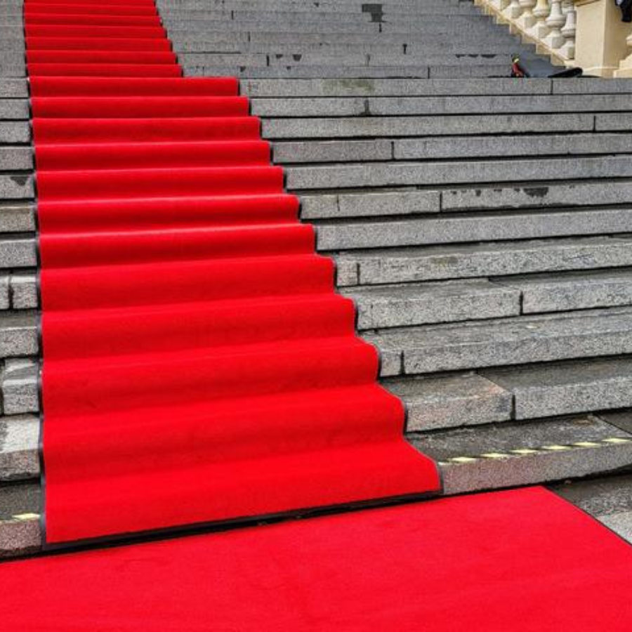 <p>&nbsp;Kinoteātrī "Splendid Palace" sāksies mūsdienu filmu festivāls "Lācis, lauva un zars"</p>