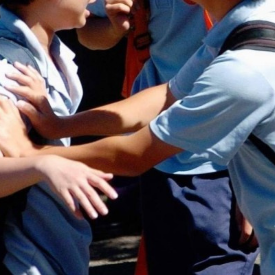<p>Tuvākajā laikā bulinga novēr&scaron;anas programmā iesaistīto Latvijas skolu skaits pieaugs līdz 243 skolām</p>