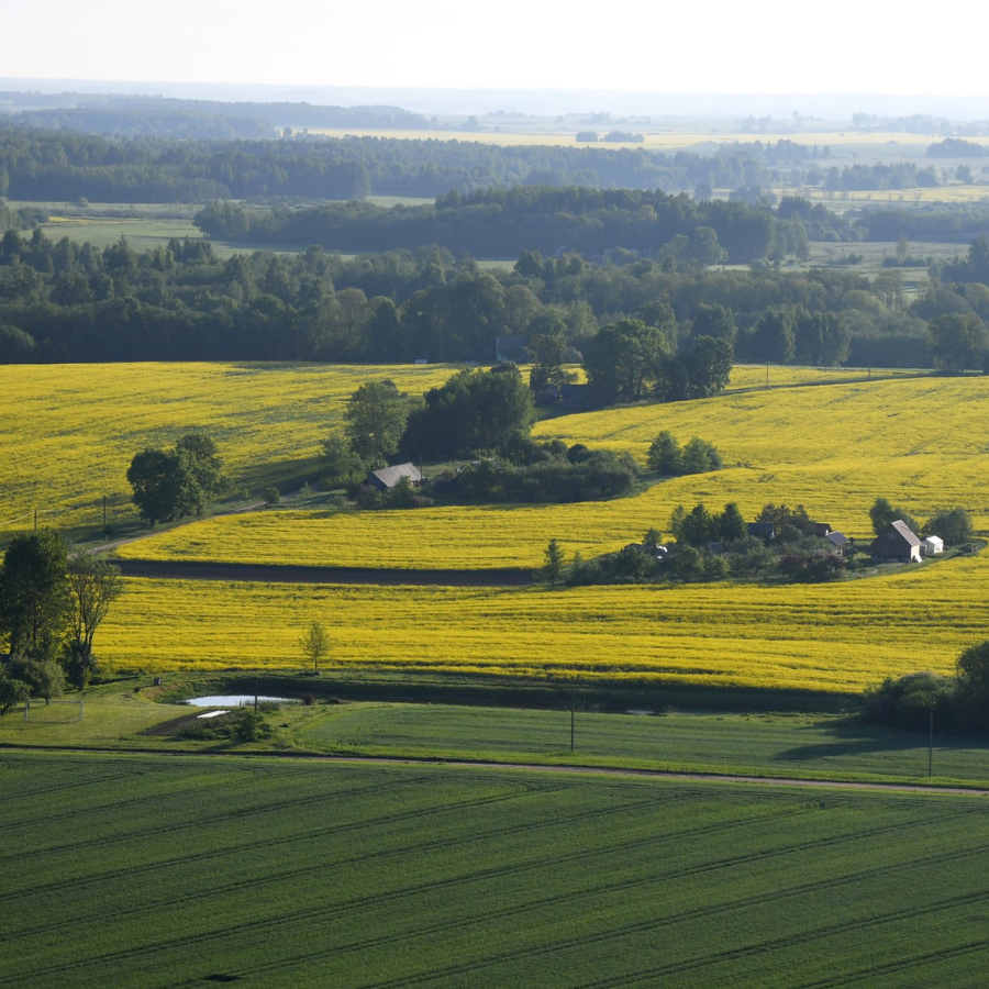 <p>Kulbergs aicina iedzīvotājus atvaļinājumus &scaron;ogad pavadīt Latgalē</p>