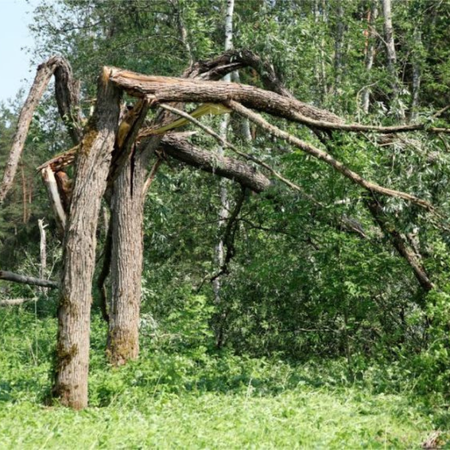 <p>Aizvadītajā diennaktī glābēji saņēmu&scaron;i 26 izsaukumus uz vēja nodarītiem postījumiem</p>