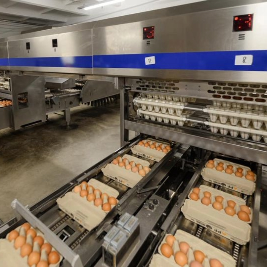 <p>"Alūksnes putnu fermā" novērsti četri nelikumīgas iekļū&scaron;anas mēģinājumi</p>