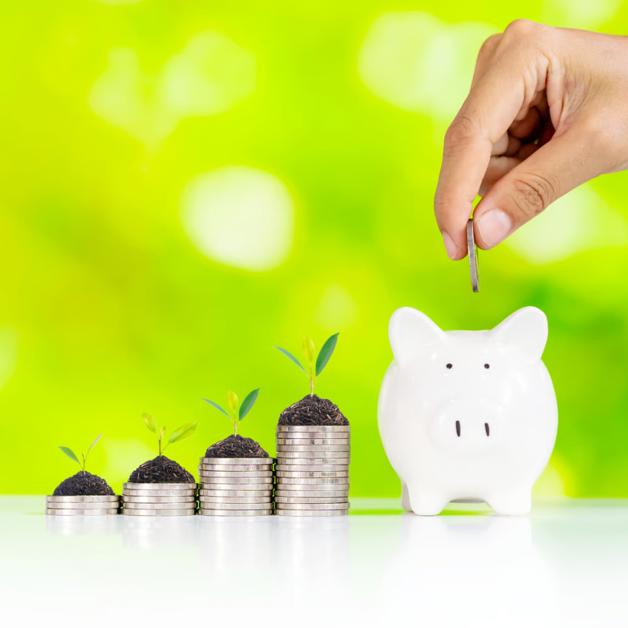 <p>NVA aicina atkārtot savas finan&scaron;u pratības prasmes</p>