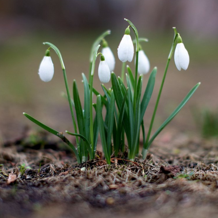 <p>Marta vidus bijis piecus grādus siltāks nekā ierasts</p>