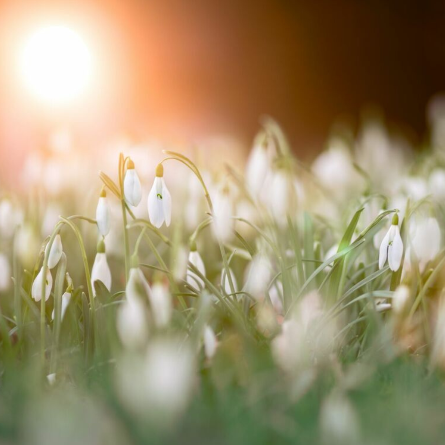 <p>Septīto dienu pēc kārtas Latvijā pārspēti siltuma rekordi</p>