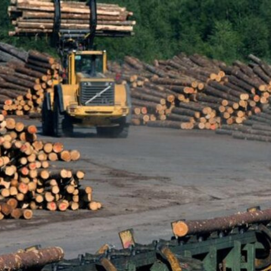 <p>Sākts kriminālprocess par iespējamiem noziegumiem saistībā ar atbalstu kokrūpniekiem</p>